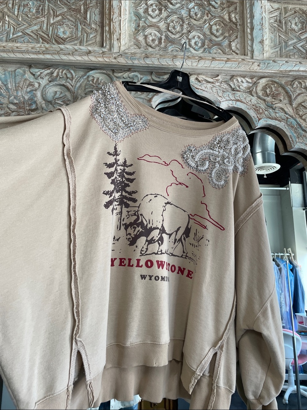 Free People Beige Yellowstone Embellished Crewneck Sweater - Picture 13 of 16